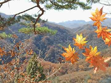 教育基地观后感500字怎么写_参观杂粮基地观后感？